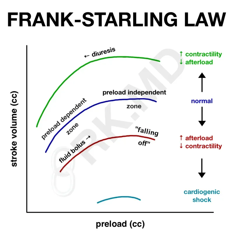 Frank-Starling curves: contractility, preload, afterload