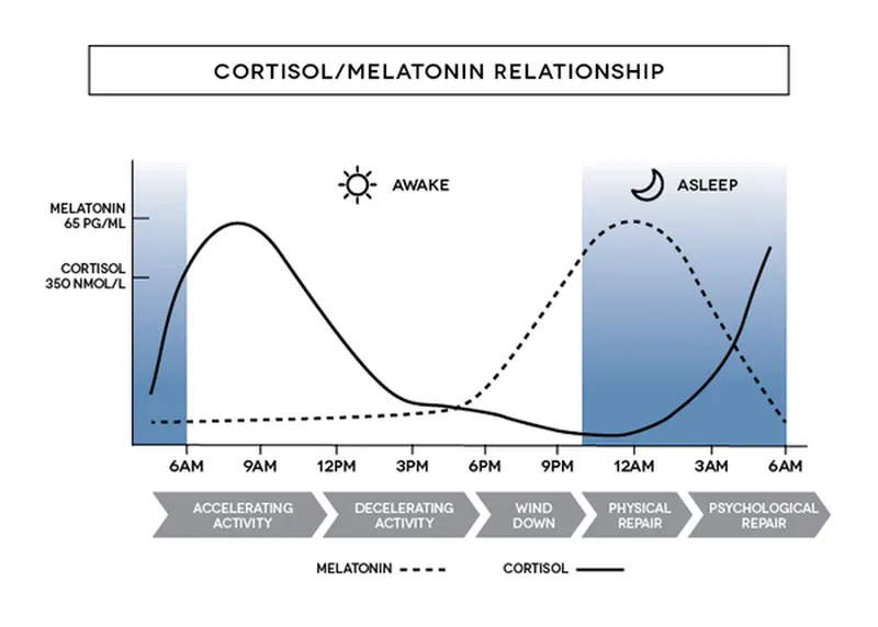 Cortisol and Melatonin Circadian Rhythms