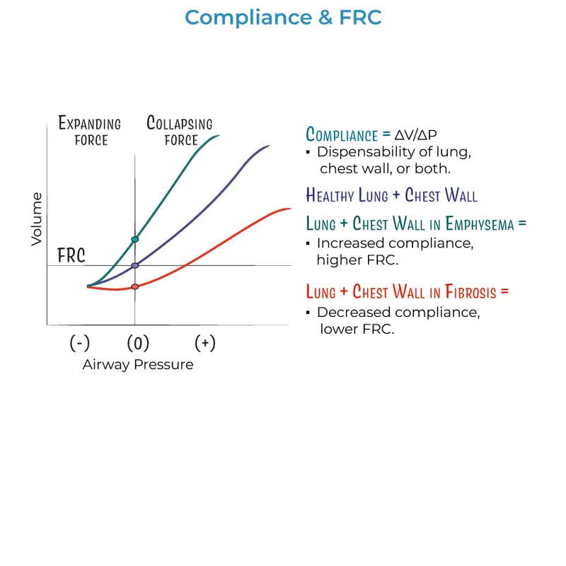 Lung & Chest Wall Compliance and FRC in Disease
