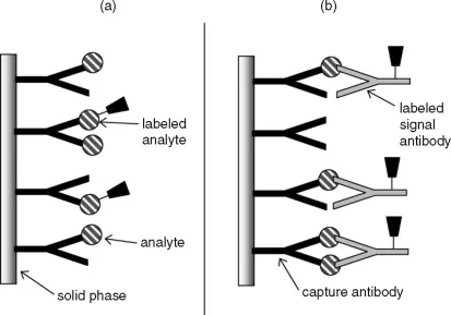 Competitive vs. Non-Competitive Immunoassay Principles