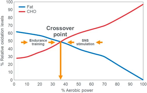 Crossover concept in muscle metabolism