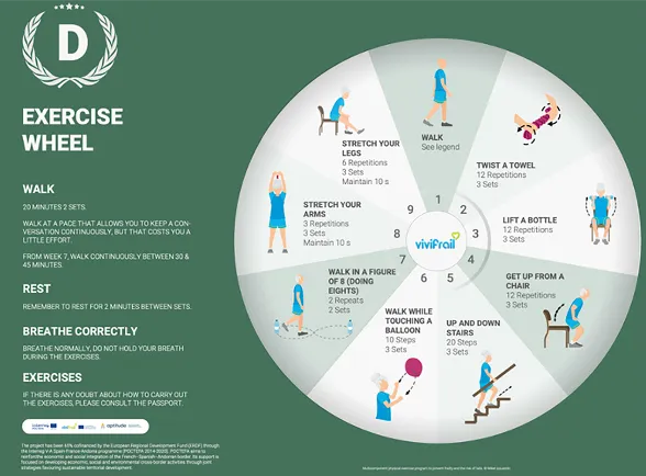 Exercise Wheel for Older Adults to Reduce Fall Risk
