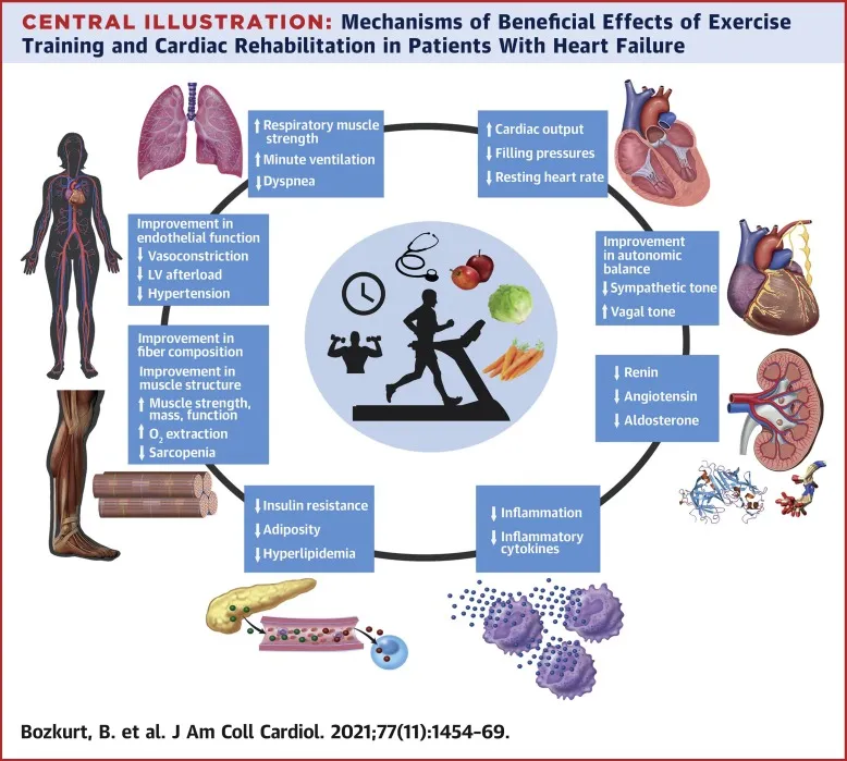 Benefits of exercise and cardiac rehab in heart failure