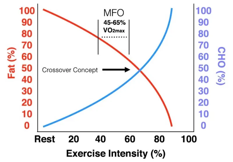 Crossover Concept: Fat vs. Carbohydrate Use in Exercise