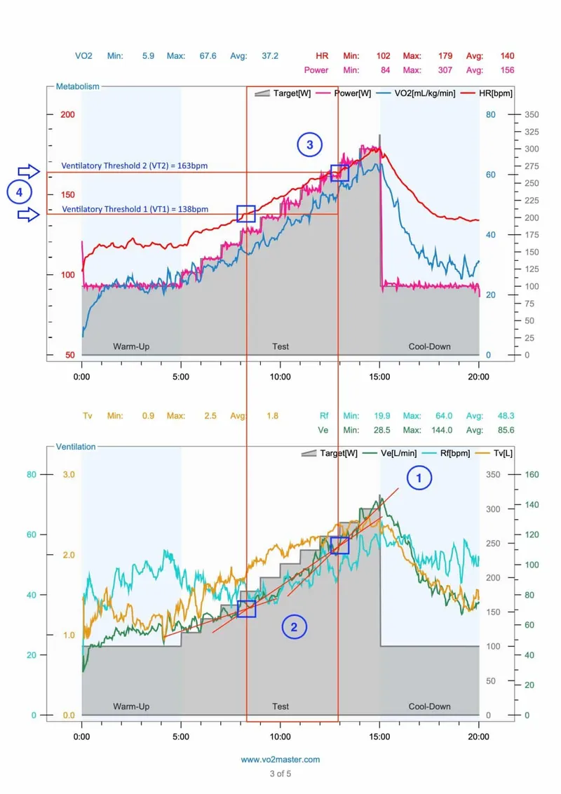 VO2 max, heart rate, and ventilation during exercise test