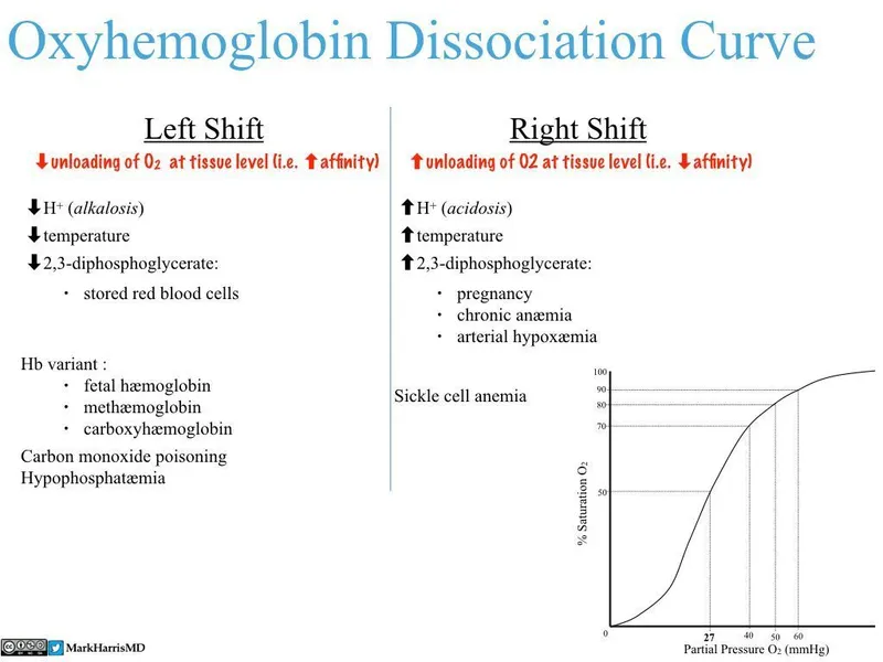 Oxyhemoglobin Dissociation Curve Shifts