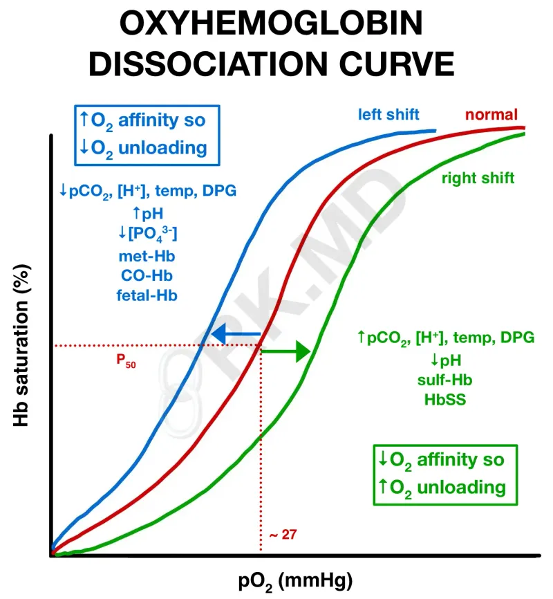 Oxyhemoglobin Dissociation Curve Shifts
