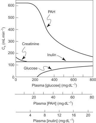 Clearance of glucose, inulin, and PAH relative to GFR