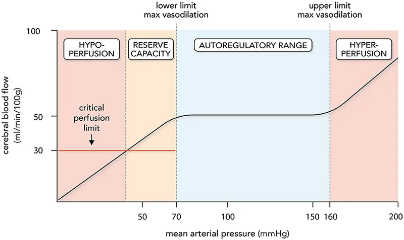 Cerebral blood flow autoregulation curve