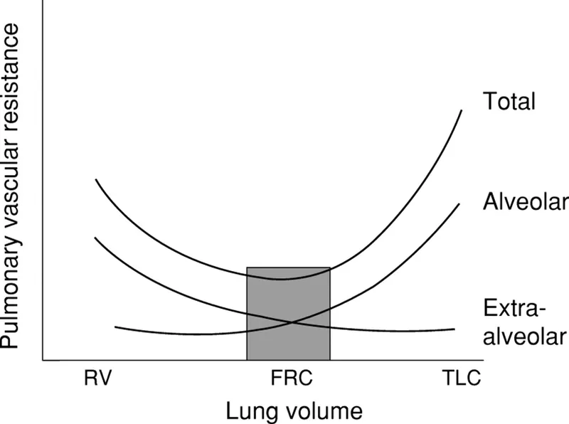 Pulmonary Vascular Resistance vs. Lung Volume