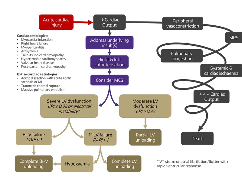 Cardiogenic Shock Pathophysiology and Management