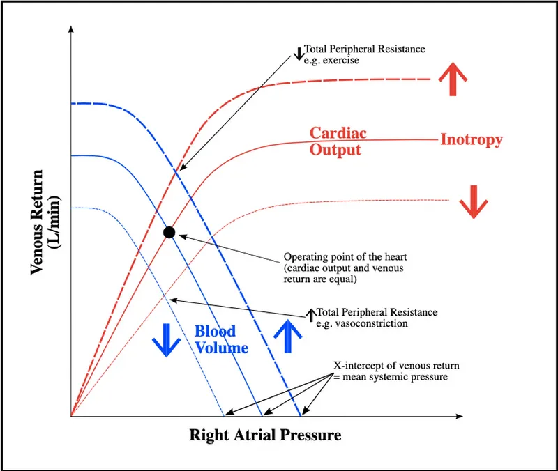 Venous Return & Cardiac Output Curves