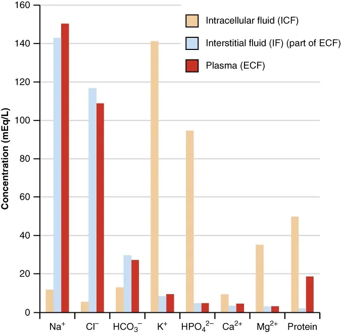 Major ion concentrations in ICF, IF, and plasma