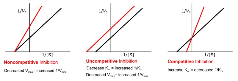 Lineweaver-Burk plots of enzyme inhibition