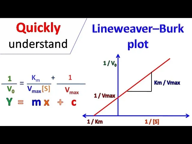 Lineweaver-Burk plot with equation and intercepts