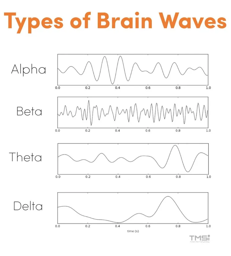 EEG Brain Wave Types