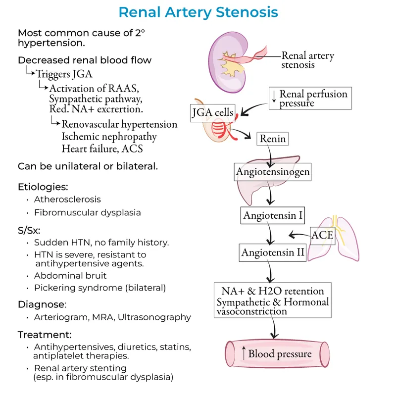 Renal Artery Stenosis and RAAS Activation