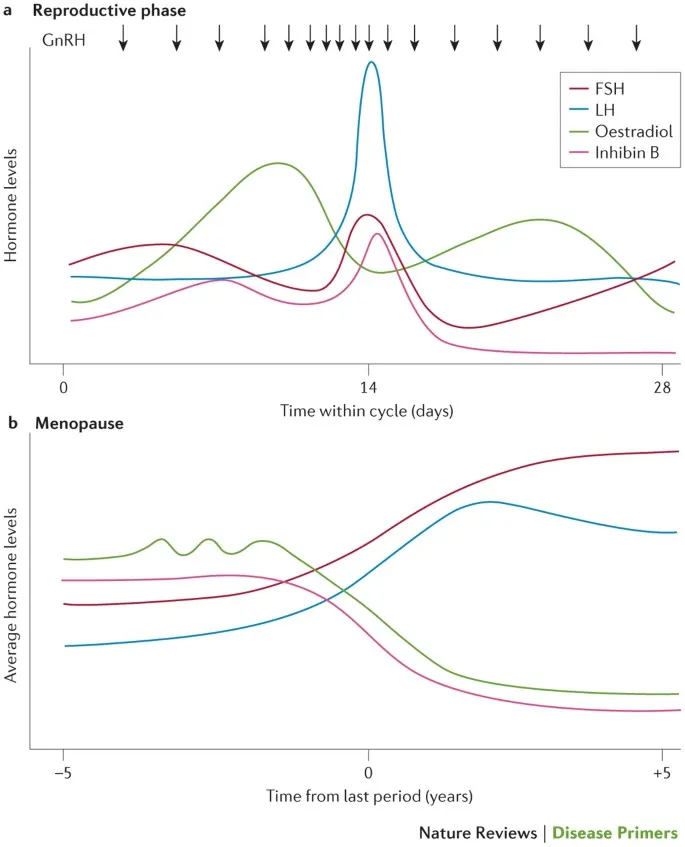 Hormone levels in reproductive aging