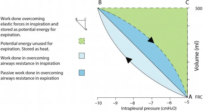 Pressure-volume loop: elastic & resistive work of breathing