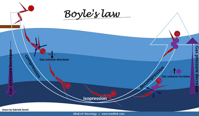 Boyle's Law in Diving: Gas Volume and Pressure