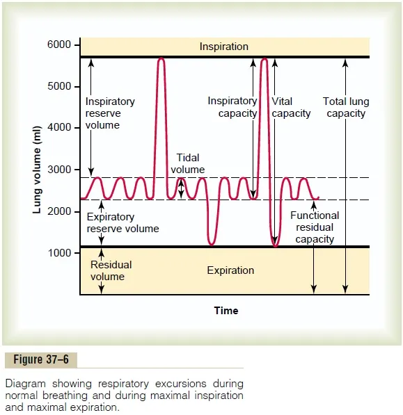 Spirogram of lung volumes and capacities