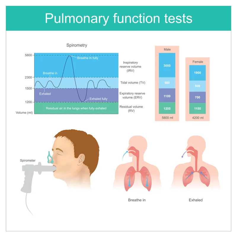 Spirometry: Lung Volumes and Capacities