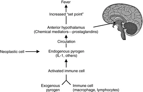 Fever Induction Pathway: Pyrogens to Hypothalamic Set Point