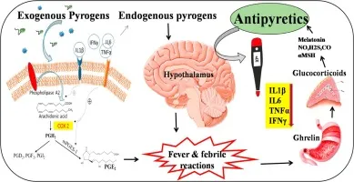 Fever Pathophysiology: Pyrogens to PGE2 and Antipyretics