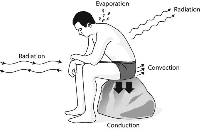 Four mechanisms of heat loss from the human body