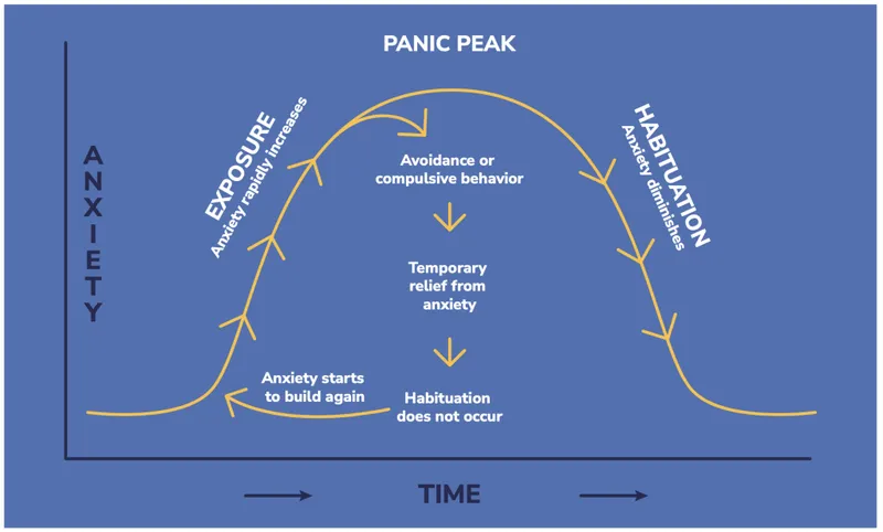 Anxiety and habituation cycle in exposure therapy