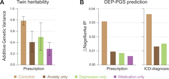 Twin heritability and DEP-PGS prediction for anxiety
