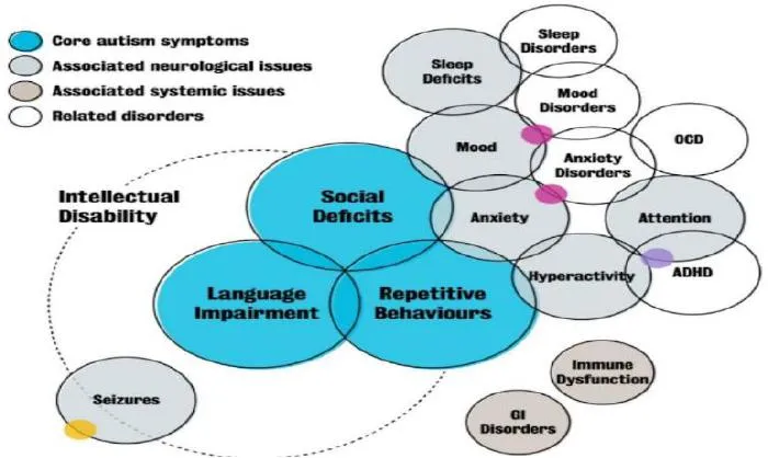 Intellectual Disability and Autism Comorbidities