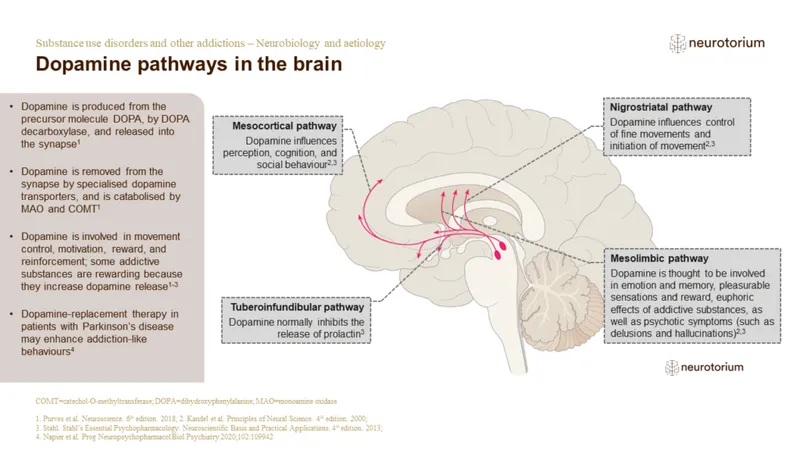 Dopamine Pathways and Psychotic Symptoms