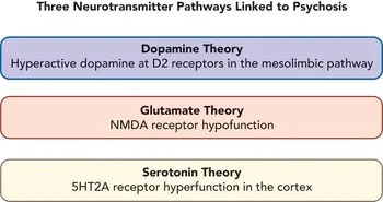 Neurobiological Basis of Delusions