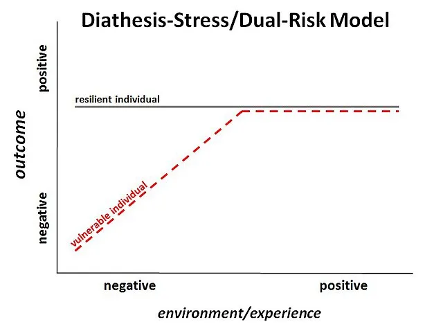 Diathesis-Stress/Dual-Risk Model