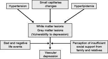 Vascular depression risk factors and pathophysiology