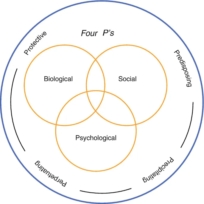 Four Ps and Biopsychosocial Model in Formulation