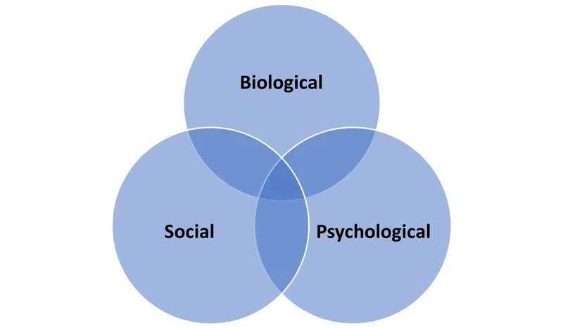 Biopsychosocial Model Venn Diagram
