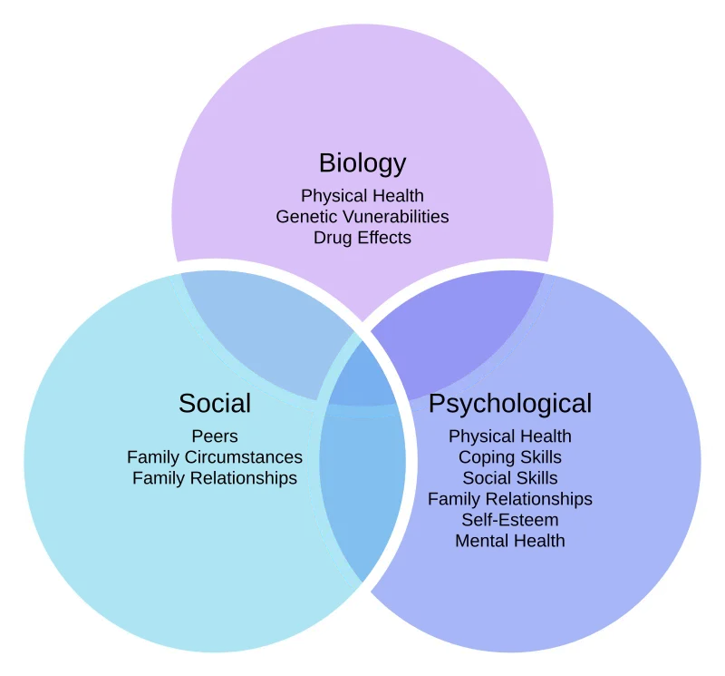 Biopsychosocial Model of Health
