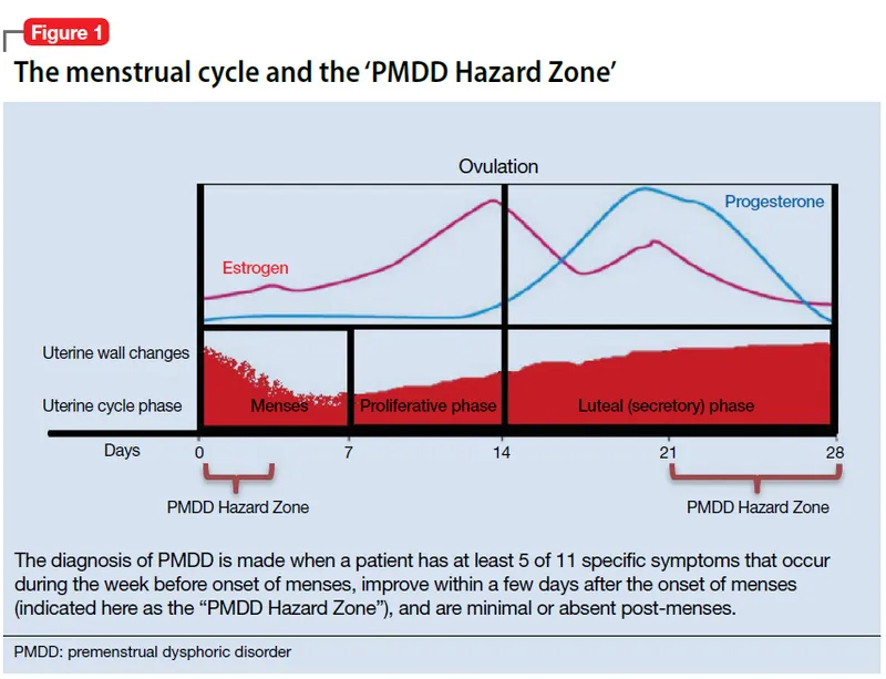 Menstrual cycle, hormones, and PMDD symptom timing