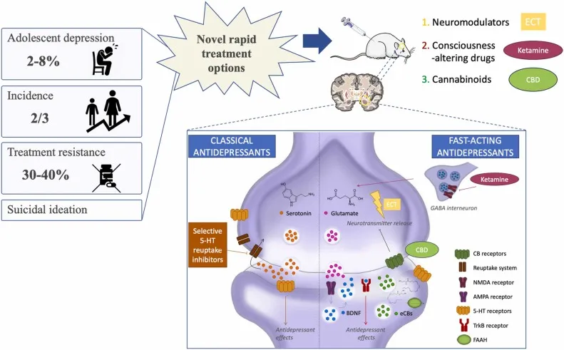 Novel rapid treatments for depression