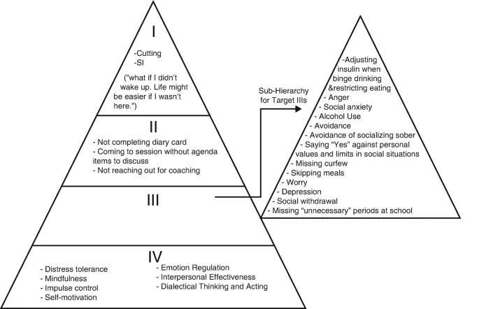 DBT Treatment Target Hierarchy