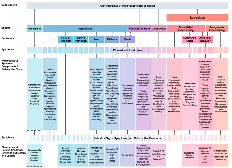 Hierarchical Model of Psychopathology (p-factor)