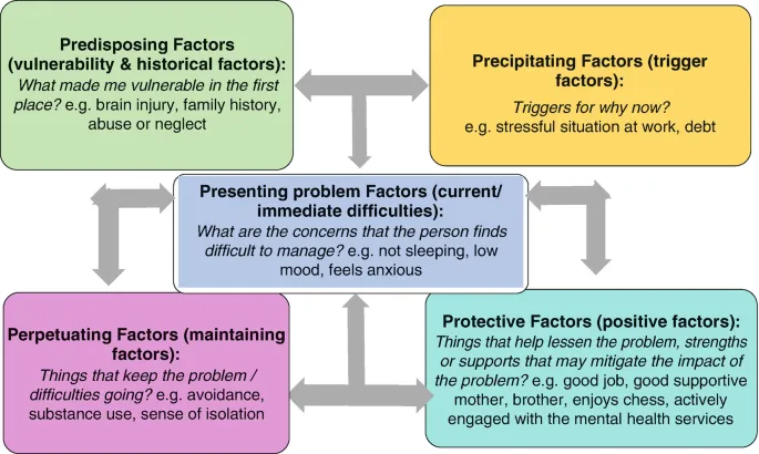 The 5 P's in psychiatric formulation