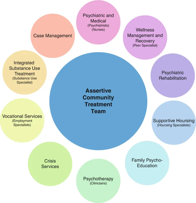 Assertive Community Treatment Team Components