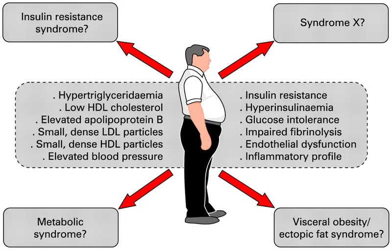 Metabolic Syndrome Components and Associated Conditions