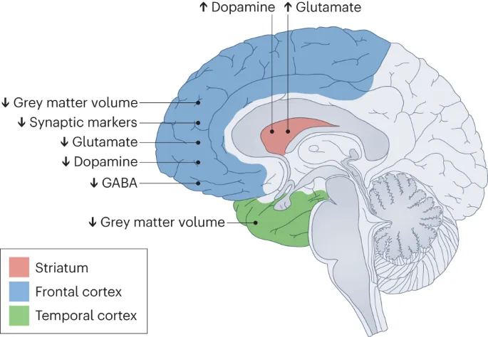 Neurobiology of Substance-Induced Psychosis