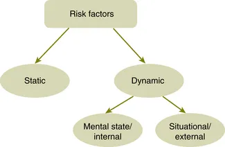 Static and Dynamic Risk Factors