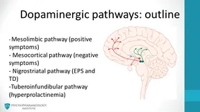 Dopaminergic pathways and associated symptoms
