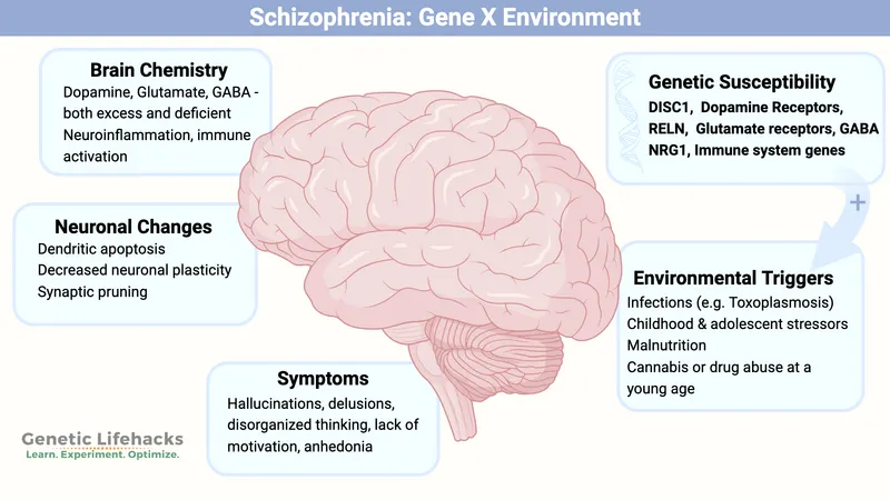 Schizophrenia: Gene x Environment Model